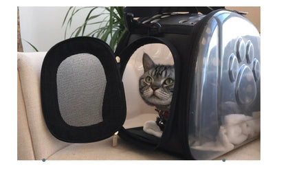 CarryPaw Transparent Breathable Pet Shoulder Bag for Cats and Dogs