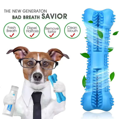 ChewBone Eco-Friendly Silicone Dental Toy