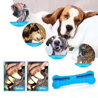 ChewBone Eco-Friendly Silicone Dental Toy